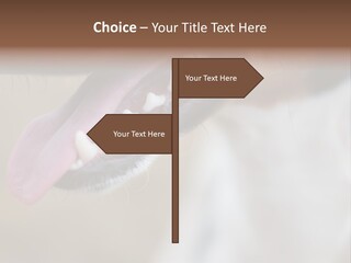 Cute Bark Puppy PowerPoint Template