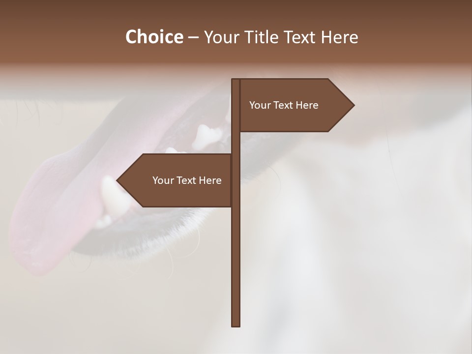 Cute Bark Puppy PowerPoint Template