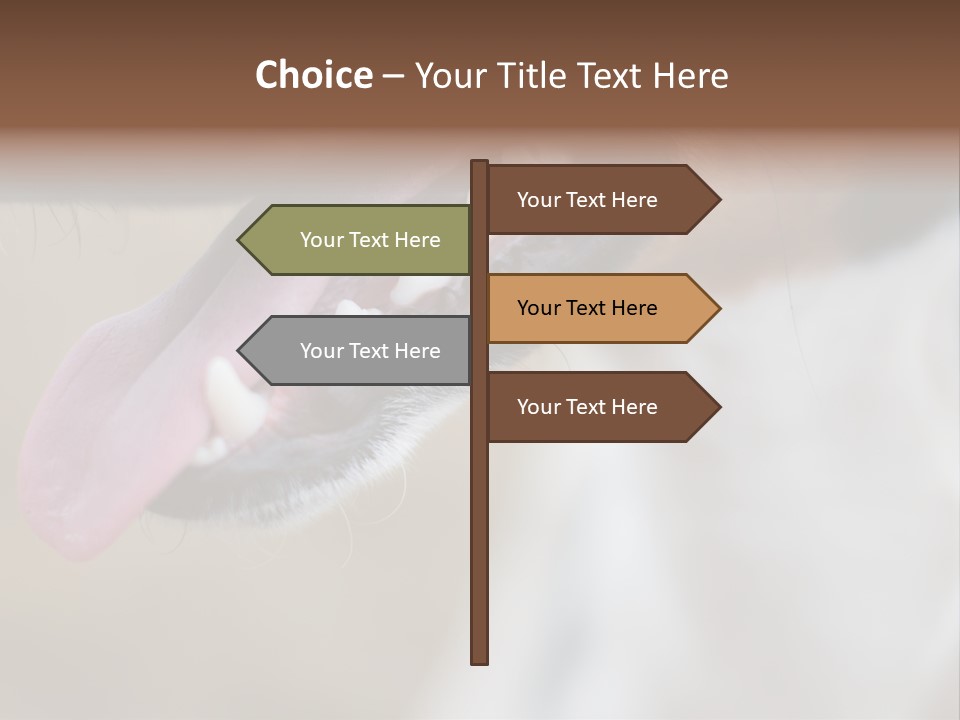 Cute Bark Puppy PowerPoint Template