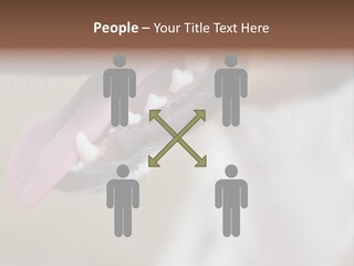 Cute Bark Puppy PowerPoint Template