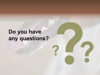 Cute Bark Puppy PowerPoint Template