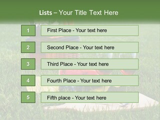 Melon Carrying Grass PowerPoint Template