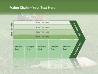 Melon Carrying Grass PowerPoint Template