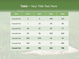 Melon Carrying Grass PowerPoint Template