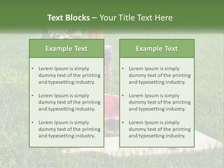 Melon Carrying Grass PowerPoint Template