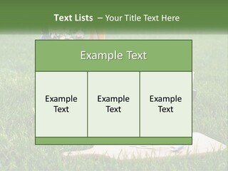 Melon Carrying Grass PowerPoint Template