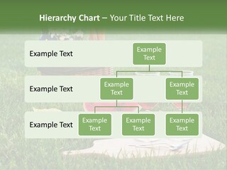 Melon Carrying Grass PowerPoint Template