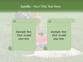 Melon Carrying Grass PowerPoint Template