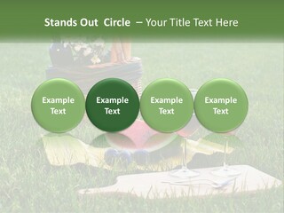 Melon Carrying Grass PowerPoint Template