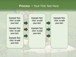Melon Carrying Grass PowerPoint Template
