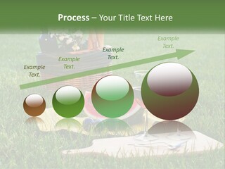 Melon Carrying Grass PowerPoint Template