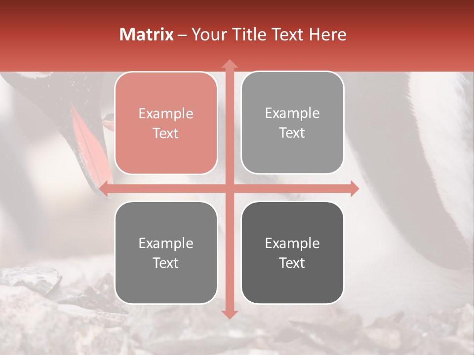 Black Young Help PowerPoint Template