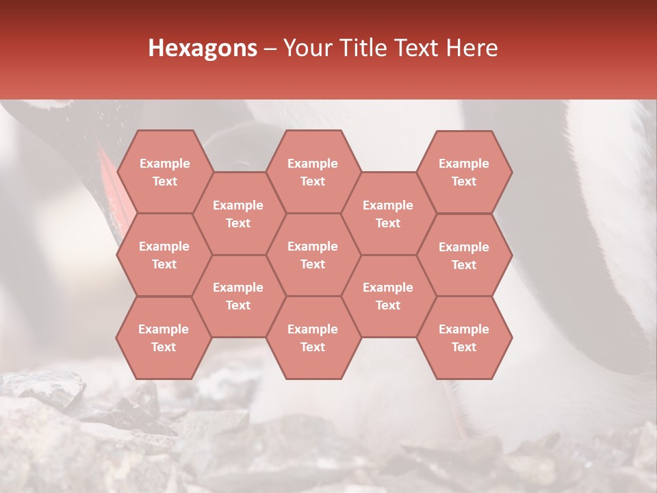 Black Young Help PowerPoint Template