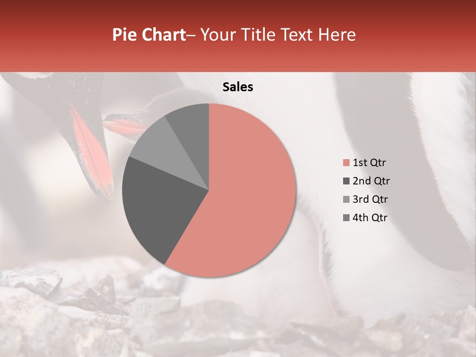 Black Young Help PowerPoint Template