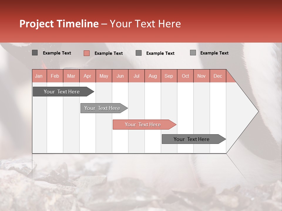 Black Young Help PowerPoint Template