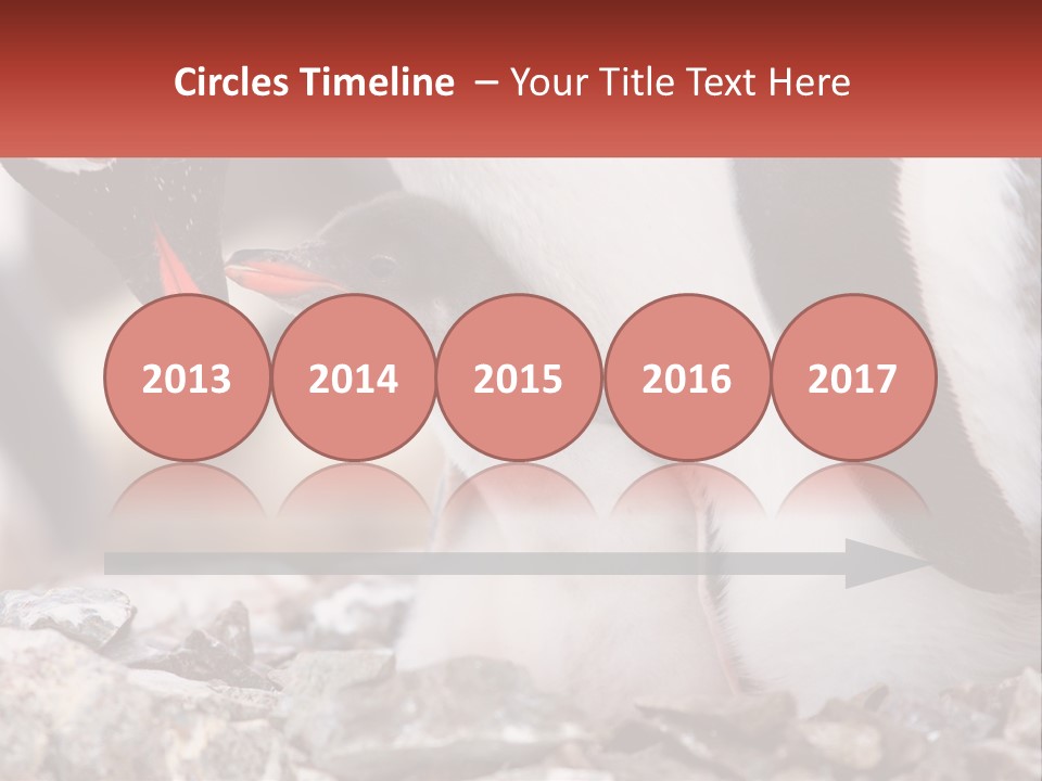 Black Young Help PowerPoint Template