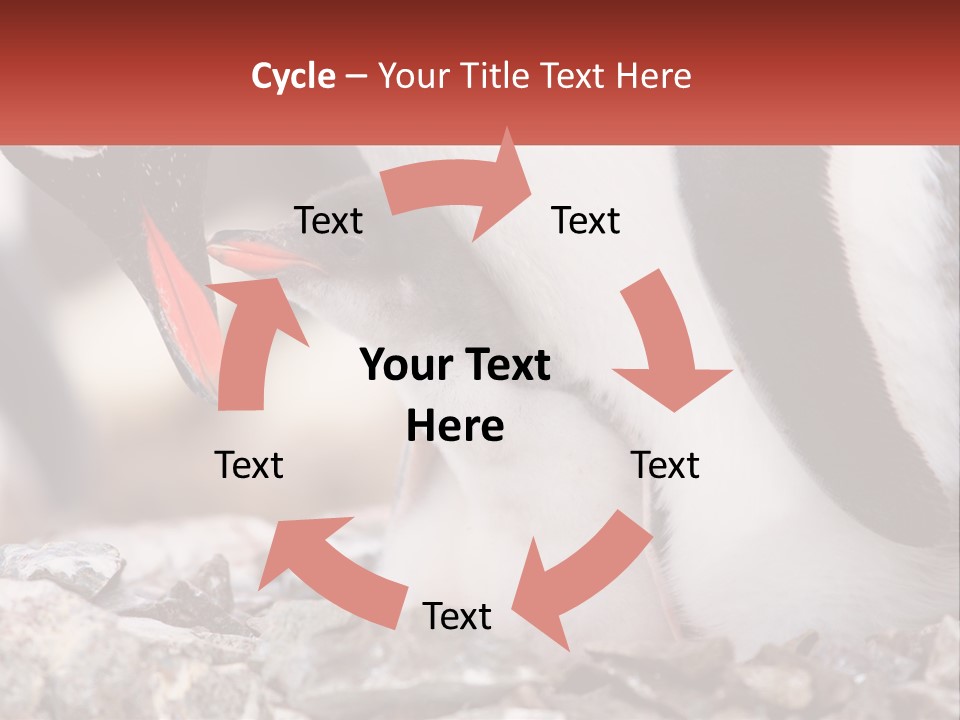 Black Young Help PowerPoint Template
