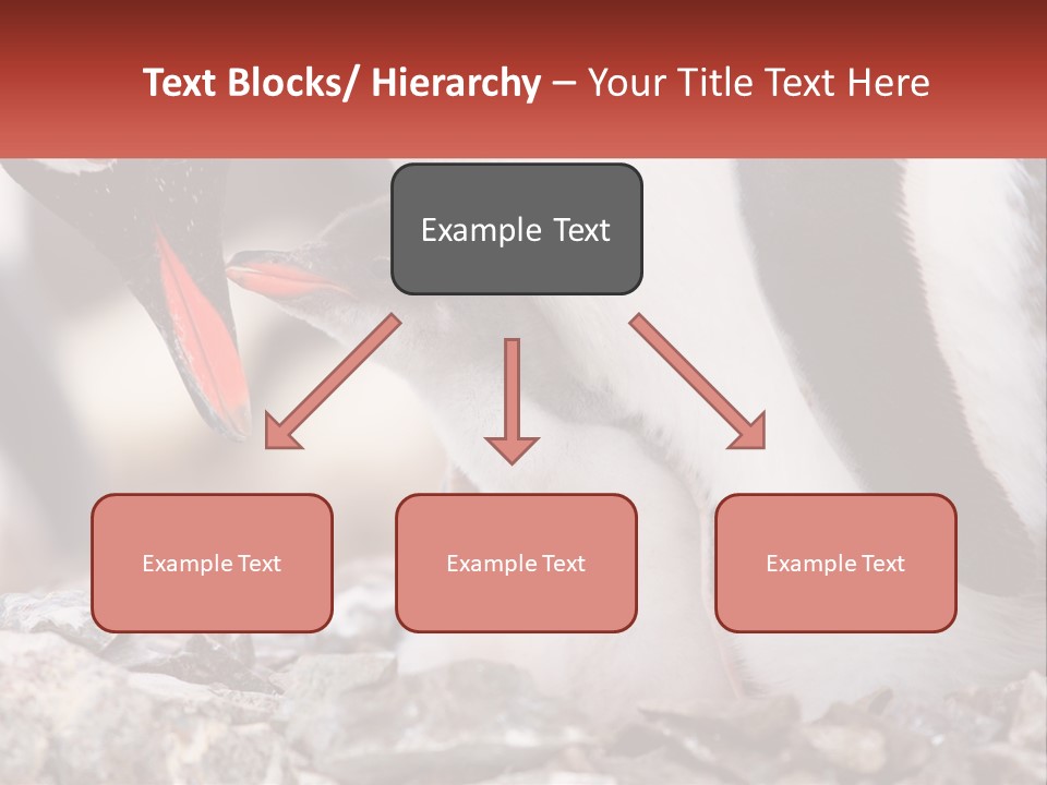 Black Young Help PowerPoint Template