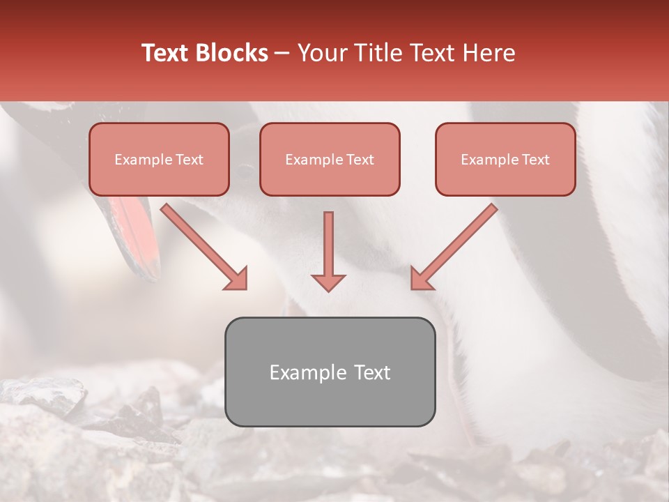 Black Young Help PowerPoint Template