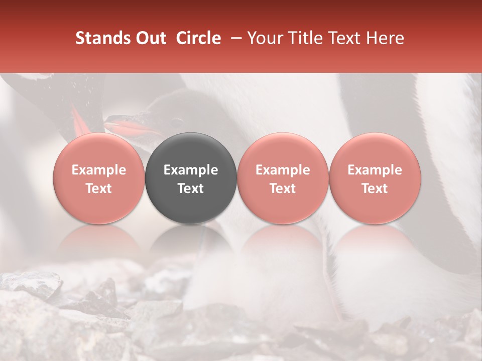 Black Young Help PowerPoint Template