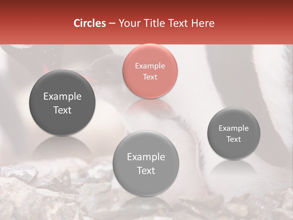 Black Young Help PowerPoint Template