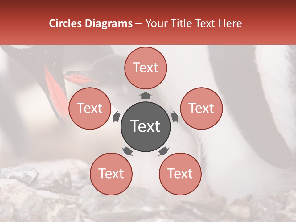 Black Young Help PowerPoint Template