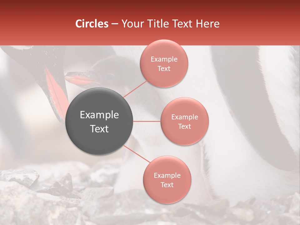 Black Young Help PowerPoint Template