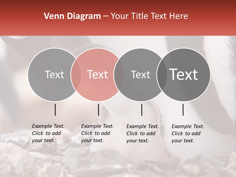 Black Young Help PowerPoint Template