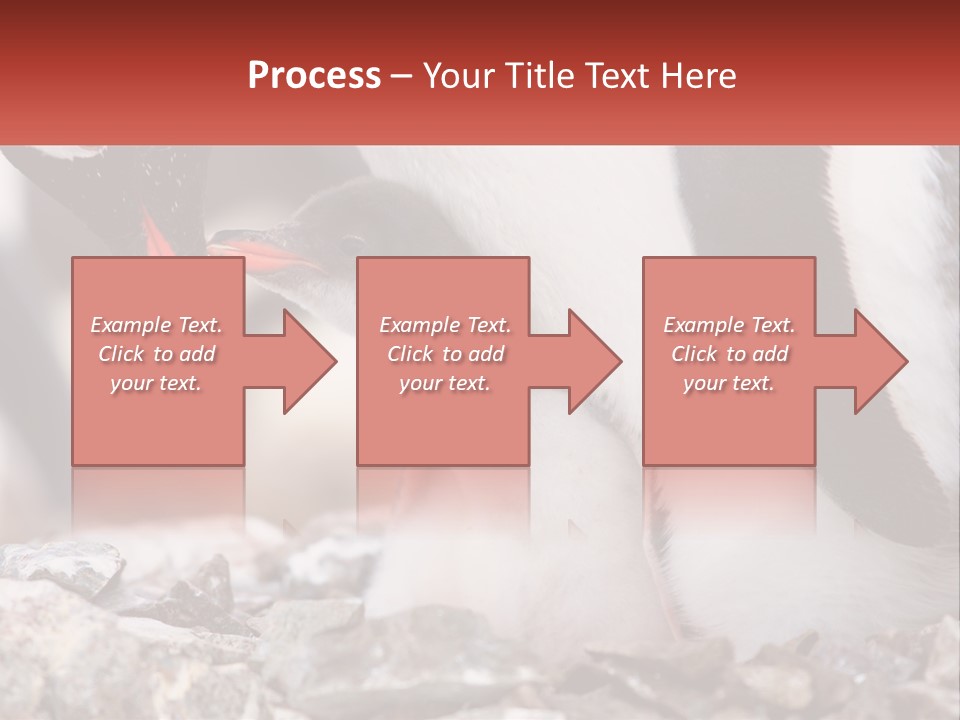 Black Young Help PowerPoint Template