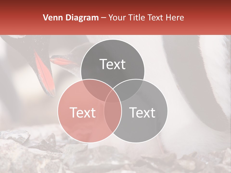 Black Young Help PowerPoint Template