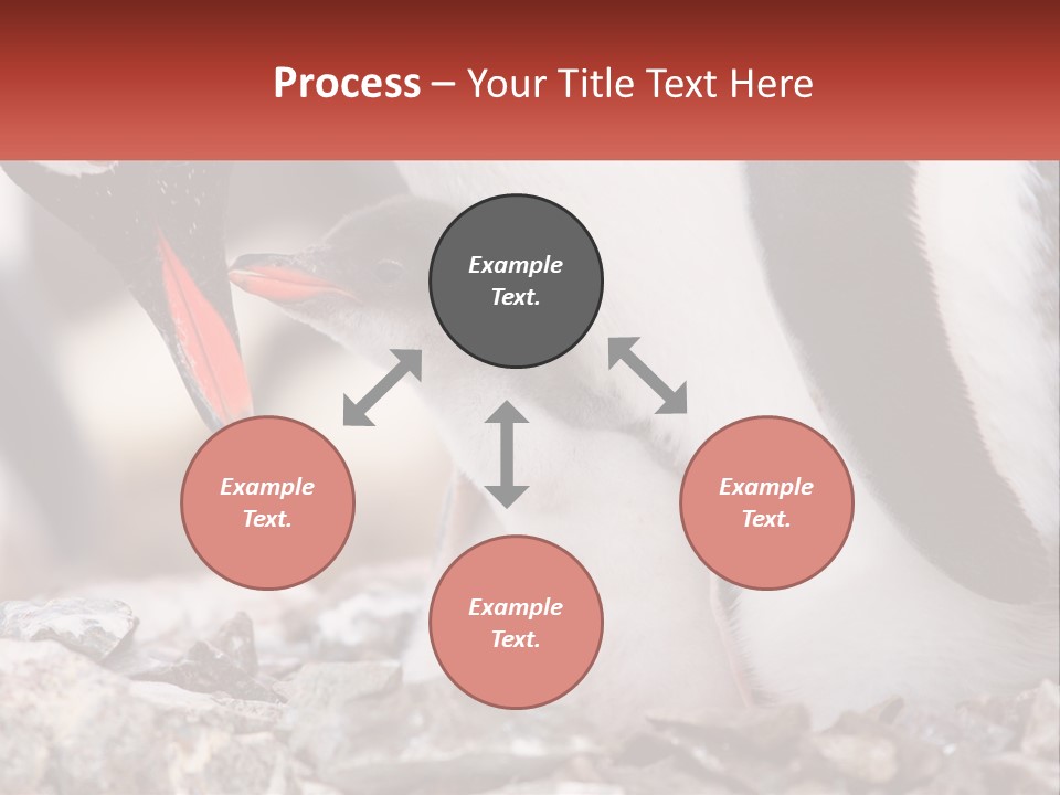 Black Young Help PowerPoint Template