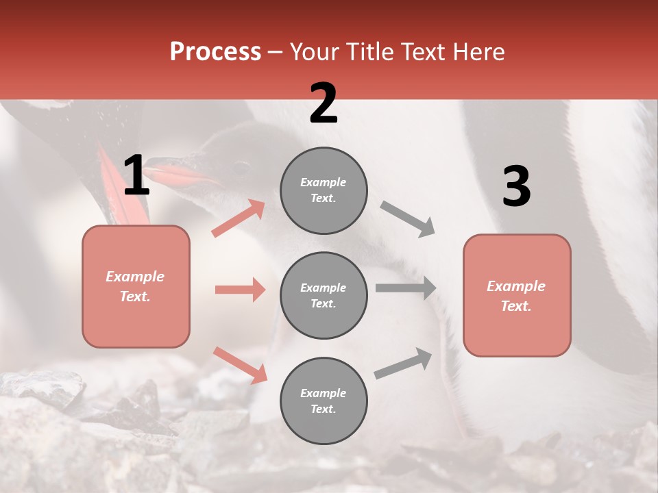 Black Young Help PowerPoint Template