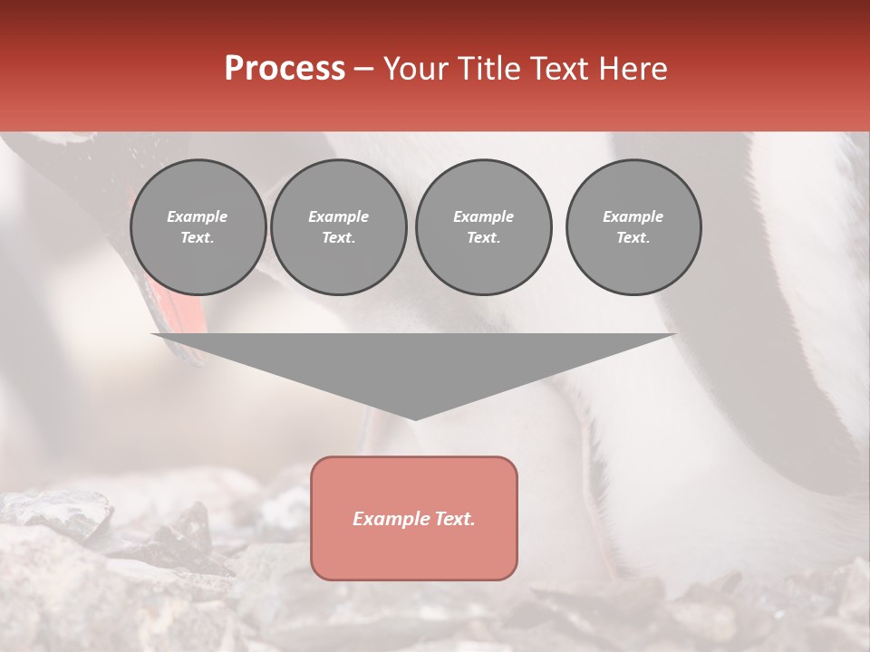 Black Young Help PowerPoint Template