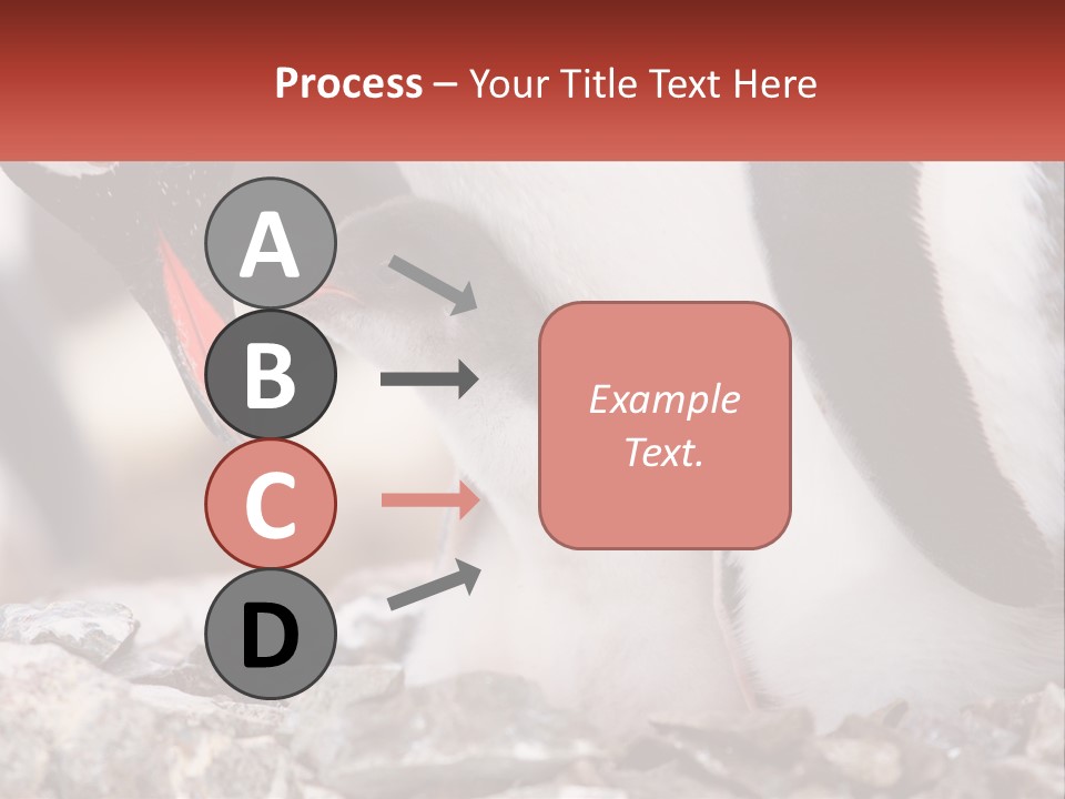 Black Young Help PowerPoint Template