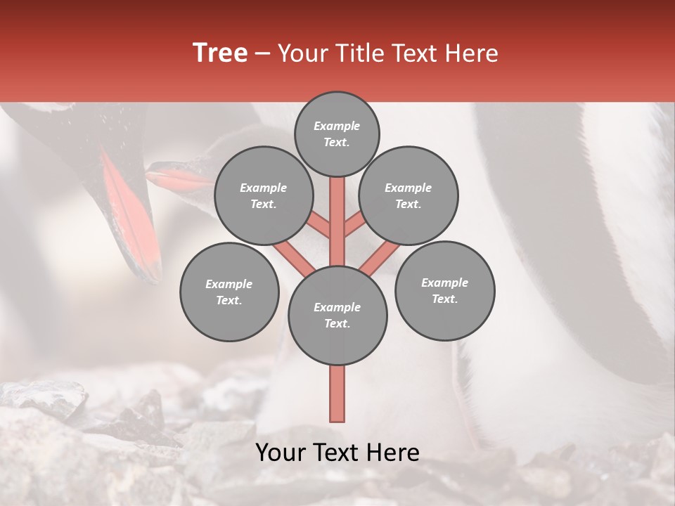 Black Young Help PowerPoint Template