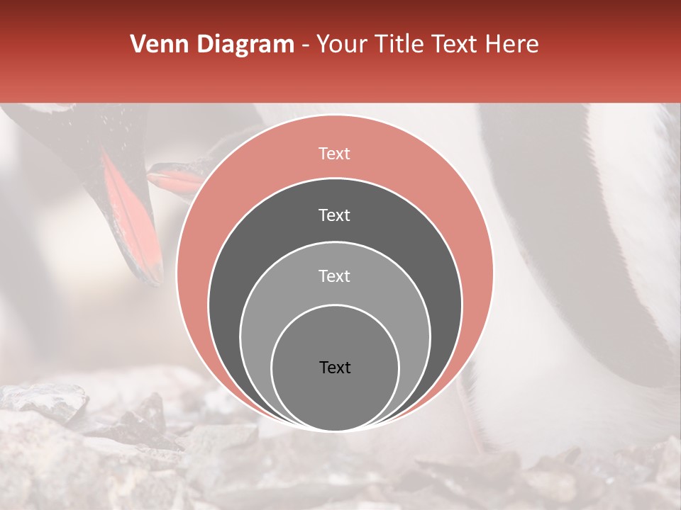 Black Young Help PowerPoint Template