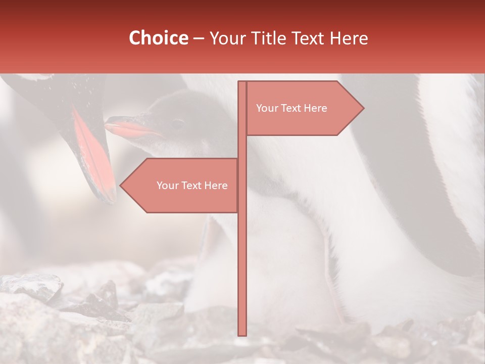 Black Young Help PowerPoint Template