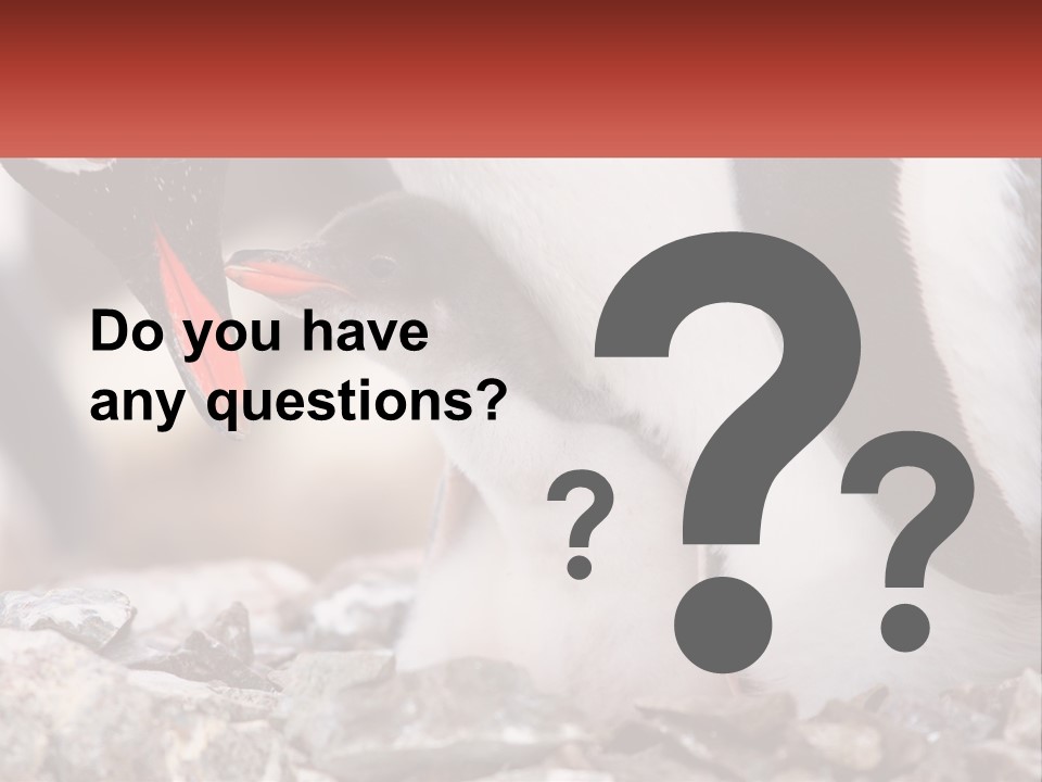 Black Young Help PowerPoint Template