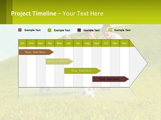 Outside Family Ball PowerPoint Template