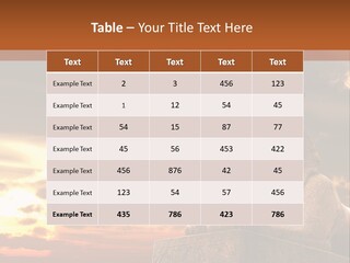 Hieroglyph Head History PowerPoint Template
