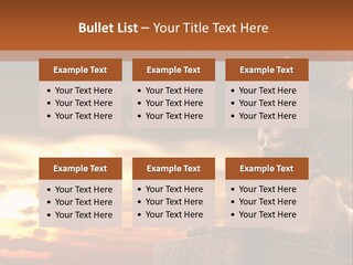 Hieroglyph Head History PowerPoint Template