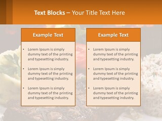 Beef Barbecue Chop PowerPoint Template