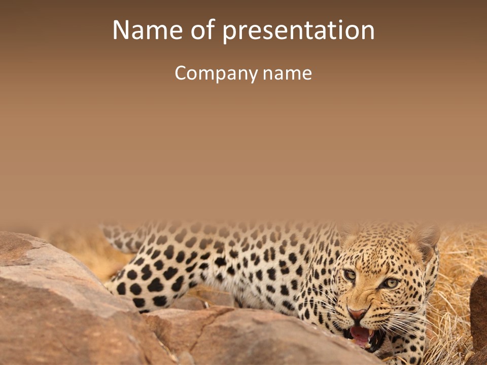Cat Wildlife Safari PowerPoint Template