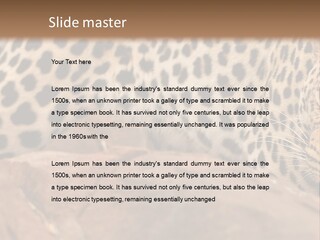 Cat Wildlife Safari PowerPoint Template