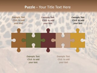 Cat Wildlife Safari PowerPoint Template