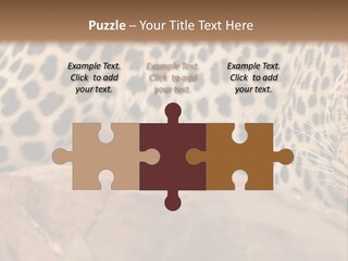 Cat Wildlife Safari PowerPoint Template