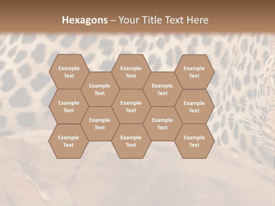 Cat Wildlife Safari PowerPoint Template