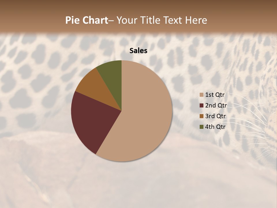 Cat Wildlife Safari PowerPoint Template