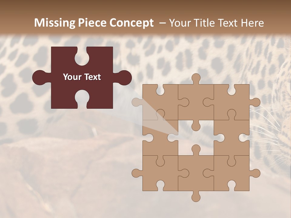 Cat Wildlife Safari PowerPoint Template