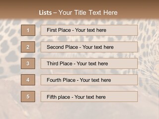 Cat Wildlife Safari PowerPoint Template